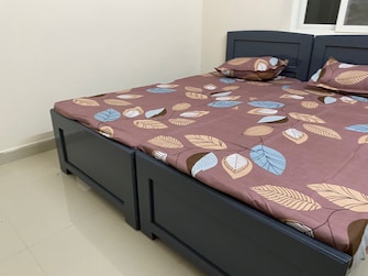 2 BHK Apartment For Rent in Adityas Paramount Heights Gachibowli Hyderabad  8126298