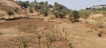 6 Acre Plot in Igatpuri