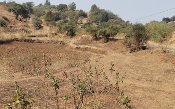 Plot For Sale in Igatpuri