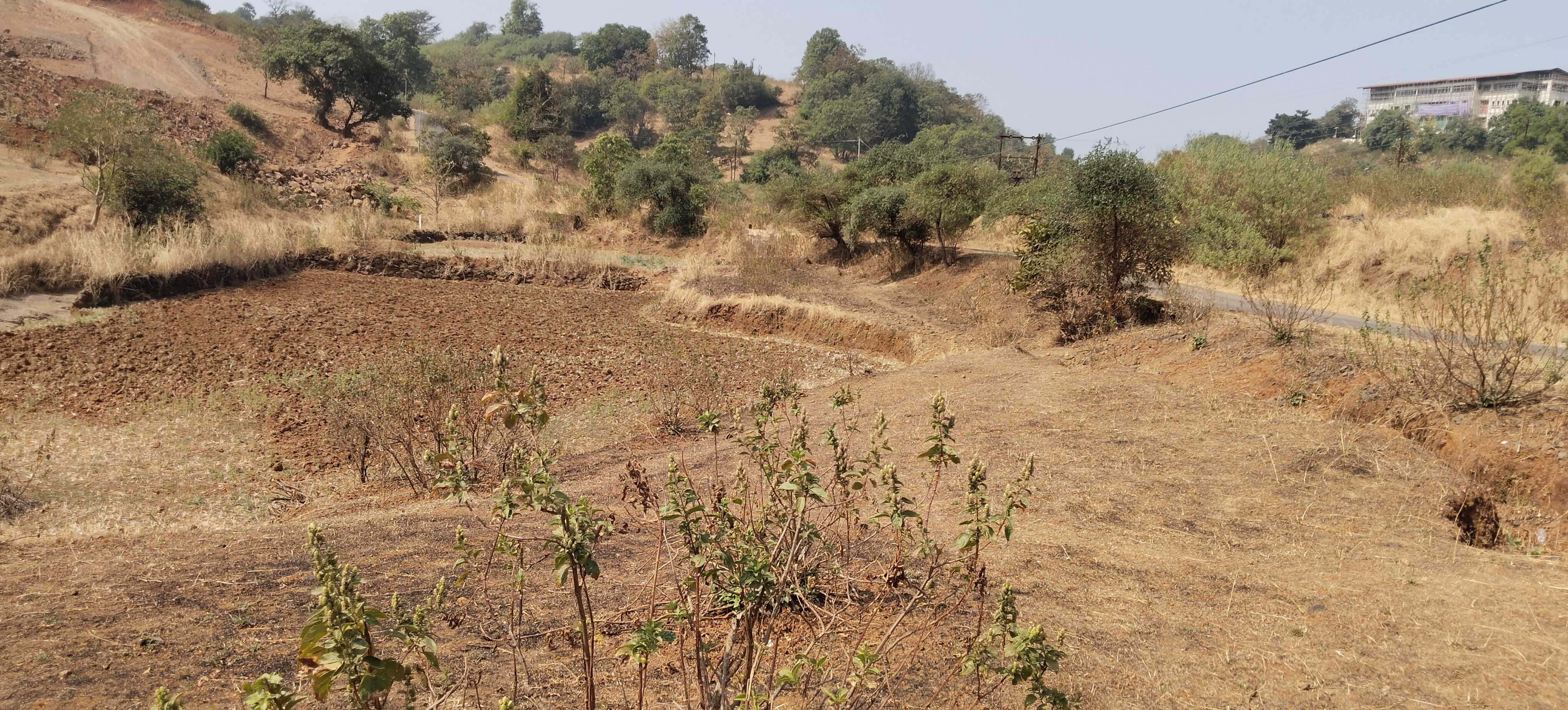 Plot For Sale in Igatpuri