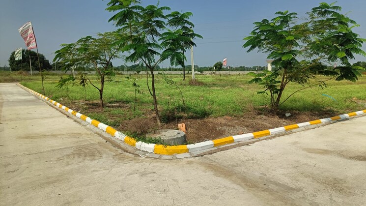Garden, nandikandi  165 Sq.Yd. Plot In Nandikandi Hyderabad 8126337