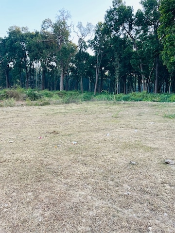 Plot Area in  Plot at Shimla Bypass Road – for Sale