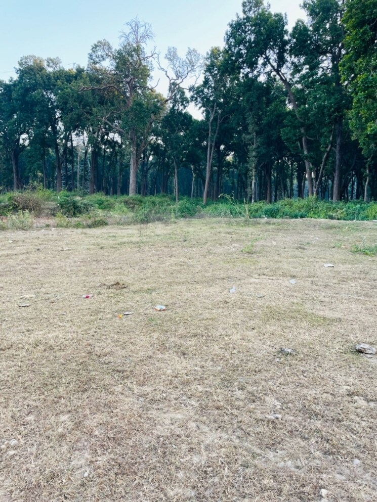 undefined, shimla bypass road  104 Sq.Yd. Plot In Shimla Bypass Road Dehradun 8126340