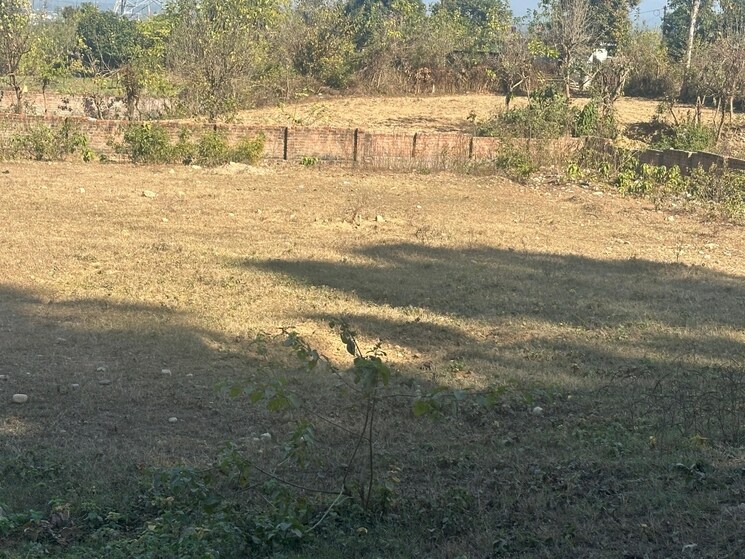 undefined, shimla bypass road  105 Sq.Yd. Plot In Shimla Bypass Road Dehradun 8126433