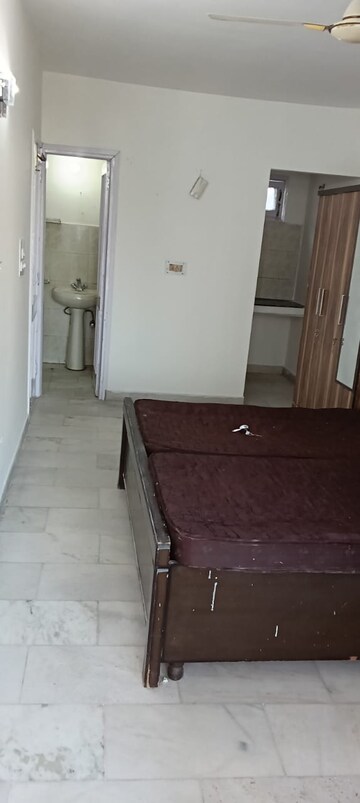 1 BHK Builder Floor For Rent in Sector 11 Chandigarh  8126462