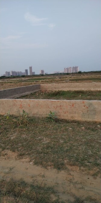 Plot For Resale in Sector 98 Faridabad  8126521