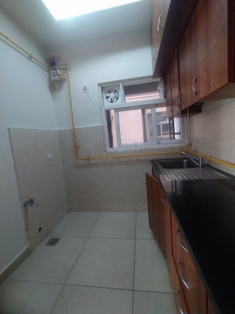 1 BHK Apartment For Rent in Prestige Song Of The South Yelenahalli Bangalore  8126534