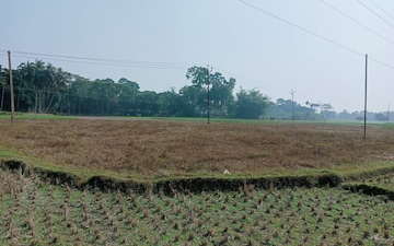 Plot For Sale in Sonarpur