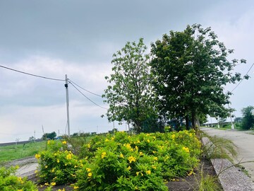  Plot – Exterior View View at Ujjain Road - for Sale
