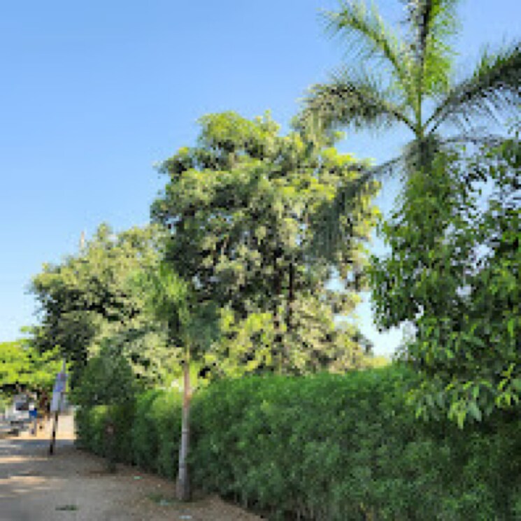 Garden, science city  1378 Sq.Yd. Plot In Science City Ahmedabad 8126759