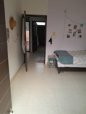 2 BHK Builder Floor For Rent in Krishna Apartments Adchini Adchini Delhi  8126830