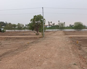 Plot Area in  Plot at Nari Village – for Sale
