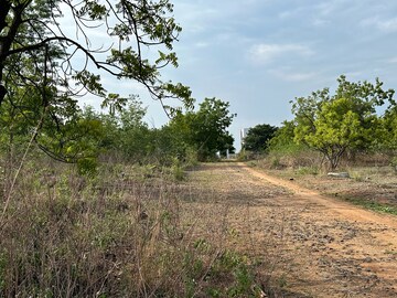 Plot Area in  Plot at Khamla – for Sale