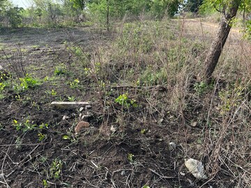 Plot Area in  Plot at Khamla – for Sale