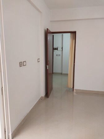 1 BHK Apartment For Rent in ROF Amaltas Sector 92 Gurgaon  8127024