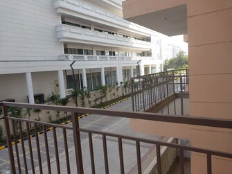 1 BHK Apartment For Rent in ROF Amaltas Sector 92 Gurgaon  8127024