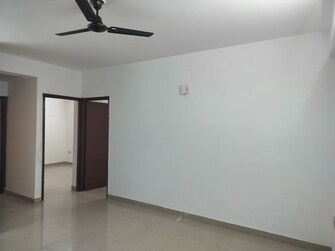 2.5 BHK Apartment For Rent in ROF Amaltas Sector 92 Gurgaon  8127057