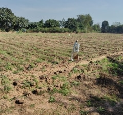 Land For Sale in Mankna