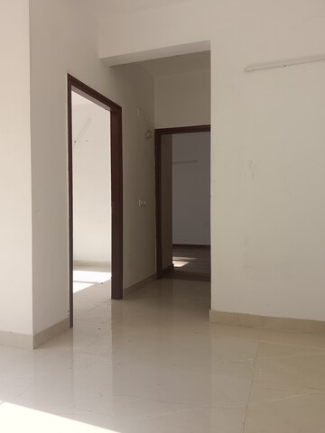2 BHK Apartment For Rent in Ace Divino, Sector 1 Greater Noida