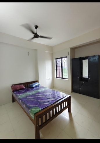 3 BHK Apartment For Rent in Kakkanad Kochi  8127204