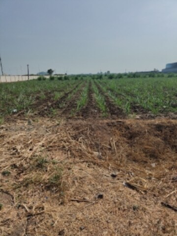 Plot Area in  Industrial Plot at Singanpor – for Sale