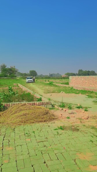 Plot For Resale in Kamta Lucknow  8127378