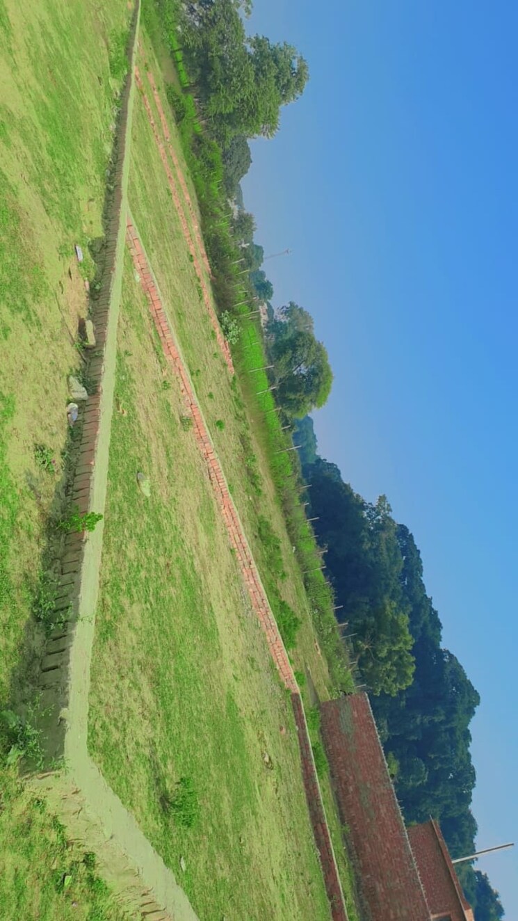 Garden, kamta  1899 Sq.Ft. Plot In Kamta Lucknow 8127378