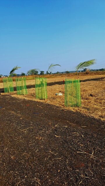 Plot Area in  Plot at Benachity – for Sale