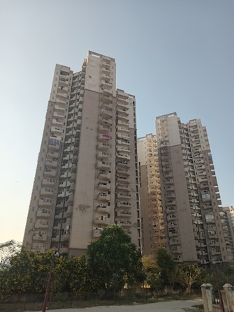 2 BHK Apartment For Rent in Ramprastha Awho Sector 95 Gurgaon  8127536