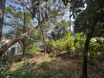  Plot For Sale in Ayyanthole