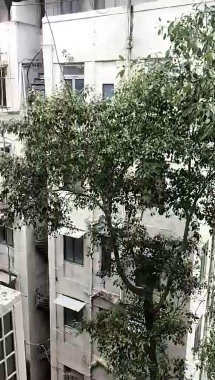 Exterior View, colaba 1 Bedroom 450 Sq.Ft. Apartment In Colaba Mumbai 8127644