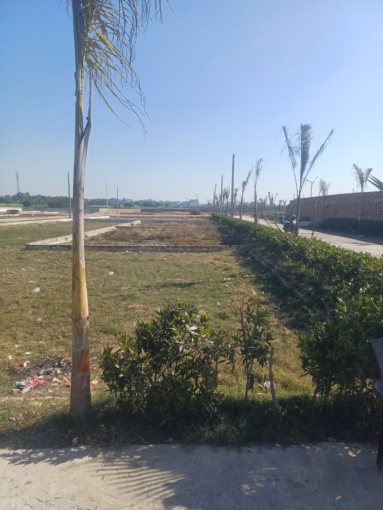 Garden, jewar  116 Sq.Yd. Plot In Jewar Greater Noida 8127717