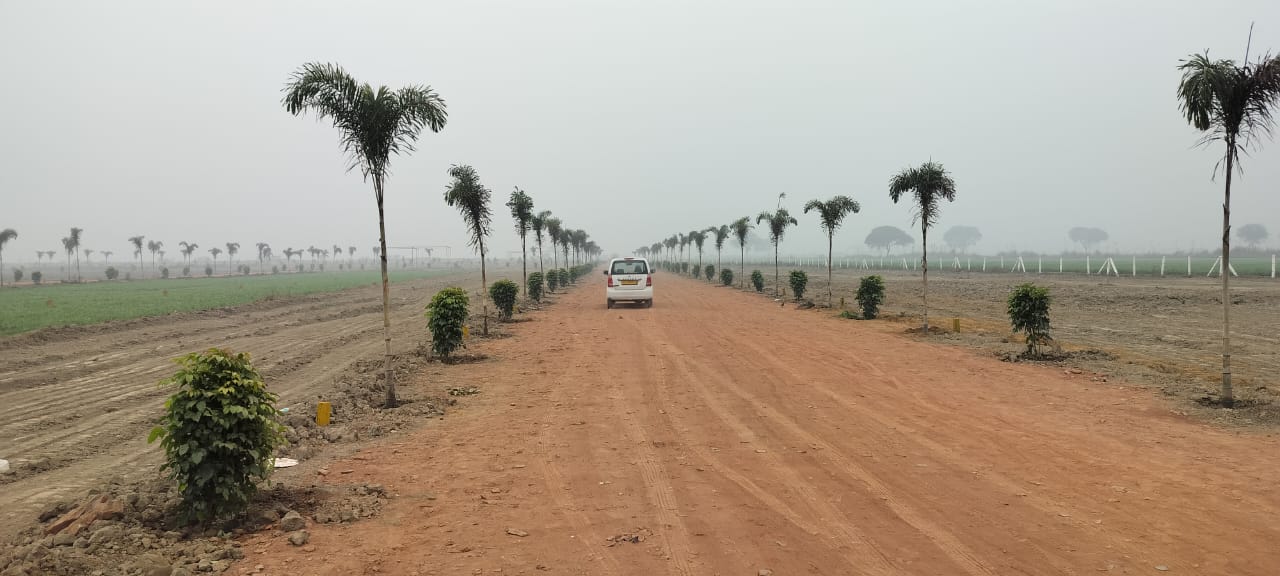 Plot For Sale in Ark Vista Jewar Internati