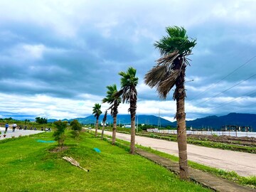  Plot – Garden View at Pinjore - for Sale