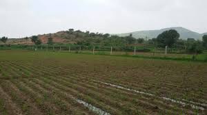 Plot For Sale in Jewar Airport Road Khurja