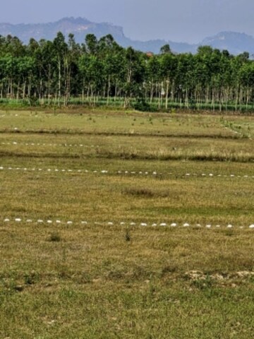  Plot For Sale in Sikandrabad