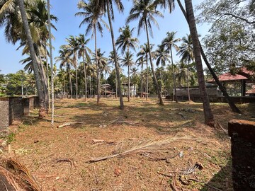 Plot Area in  Plot at Ayyanthole – for Sale