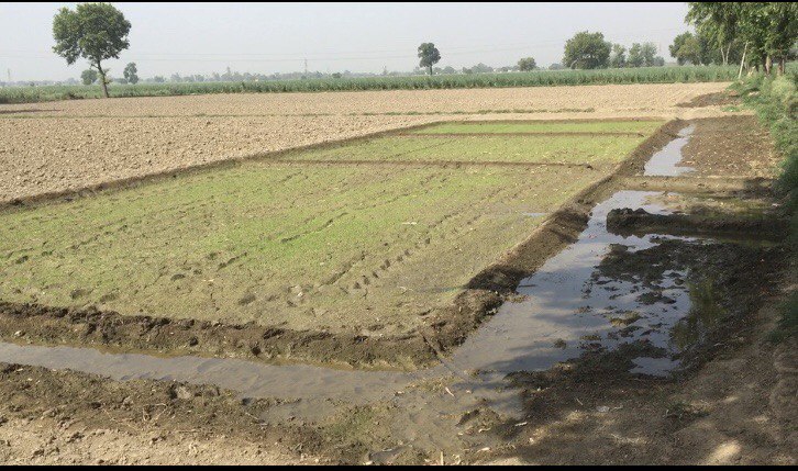 Plot For Sale in Jewar Airport Road Khurja