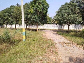 Plot For Resale in Aishwarya County Plot Nelamangala Bangalore  8128067