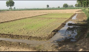  Plot For Sale in Sikandrabad