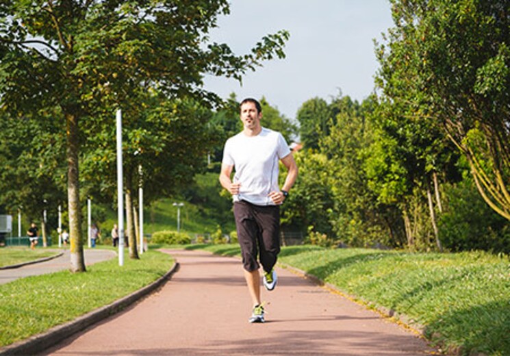 Garden, kumar-47-east-a 3 Bedroom 1119 Sq.Ft. Apartment In Magarpatta City Pune 8128108