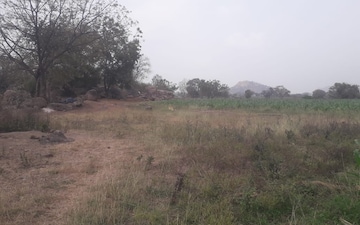 Land For Sale in Bakshi Ka Talab