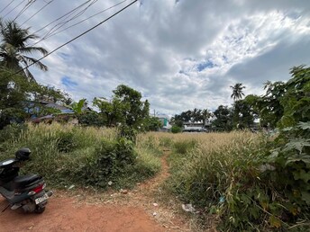 Plot For Resale in Vadookara Thrissur  8128164