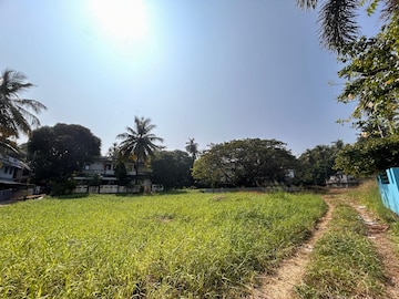 Plot For Resale in Punkunnam Thrissur  8128223