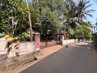 Plot For Resale in Ayyanthole Thrissur  8128280