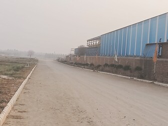 Commercial Industrial Plot 300 Sq.Yd. For Resale in Mauli Panchkula  8128412