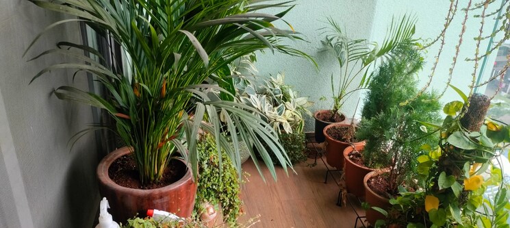 Exterior View, kakkad-madhuban 2 Bedroom 700 Sq.Ft. Apartment In Balewadi Pune 8128465