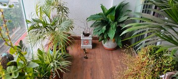 2 BHK Apartment – Garden View at Kakkad Madhuban, Balewadi - for Sale