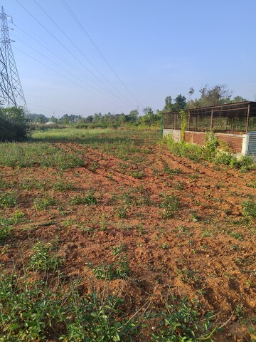 Plot Area in  Land at Dhanaguru – for Rent