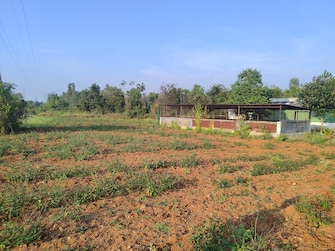 Commercial Land 65340 Sq.Ft. For Rent in Dhanaguru Mandya  8128559